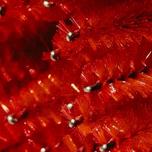 Hybrid Lash Monthly Membership