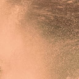 Little Bit Of Everything Membership