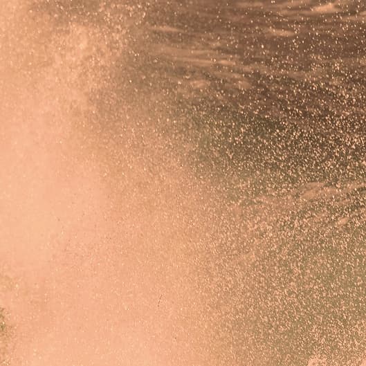 Little Bit Of Everything Membership